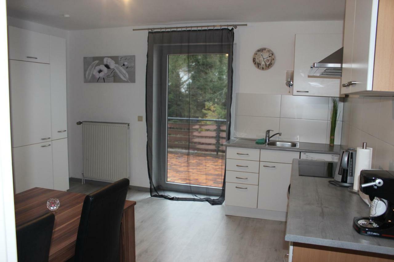 Gut Gelegenes Appartment Mit Wifi, Parkplatz, Wama, Trockner Usw. Kaiserslautern Esterno foto
